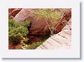 11WahweapHangingGardens 039